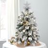 2ft Mini Christmas Tree with Light Artificial Small Tabletop Christmas Decoration with Flocked Snow;  Exquisite Decor & Xmas Ornaments for Table Top f
