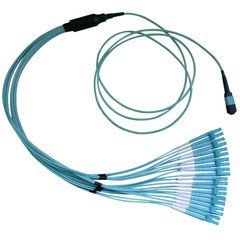 Plenum Fiber Optic Cable, 100 Gigabit Ethernet CFP/CXP 100GBase-SR10 to MTP(MPO)/LC (10 Duplex LC) 24 inch Breakout Cable, OM3, 50/125, 50 meter