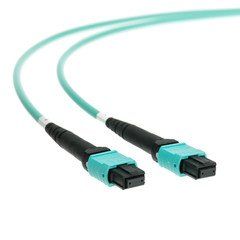 Plenum MTP Fiber Optic Cable, Type A, 24 Strand, 50/125 OM3, 40/100 Gbps, MTP Female, 1 meter (3.3 foot)