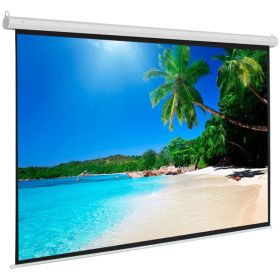 100 INCH 4:3 Manual Projector Screen Matte White (Option: 100")