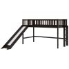 Twin Size Low Loft Bed with Ladder and Slide